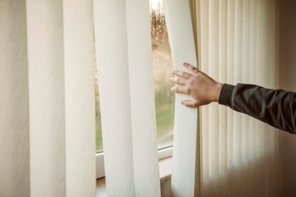 Vertical Blind - Image 4