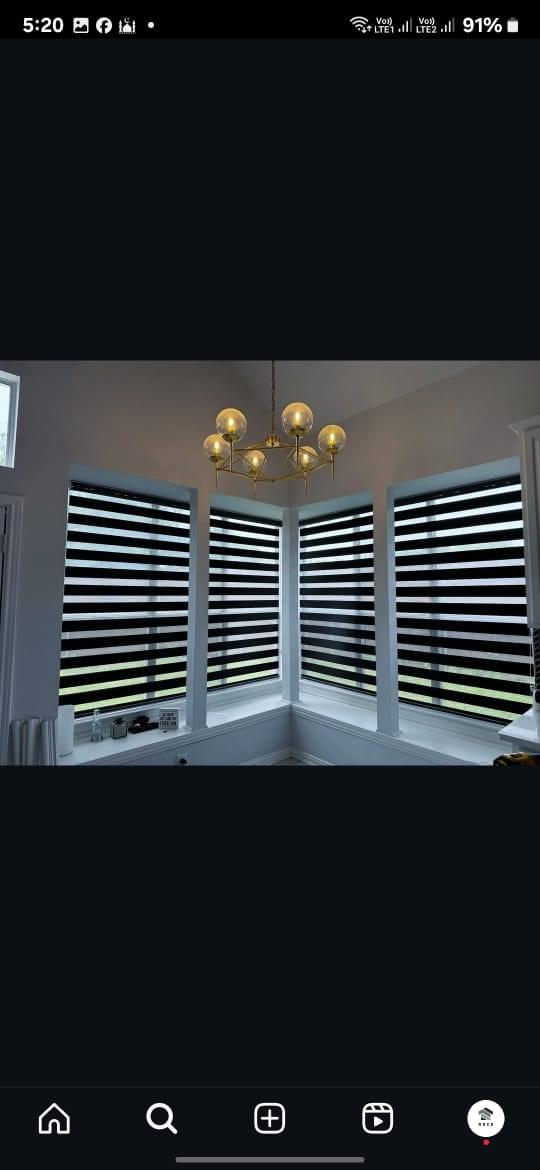 Zebra Blind - Image 2